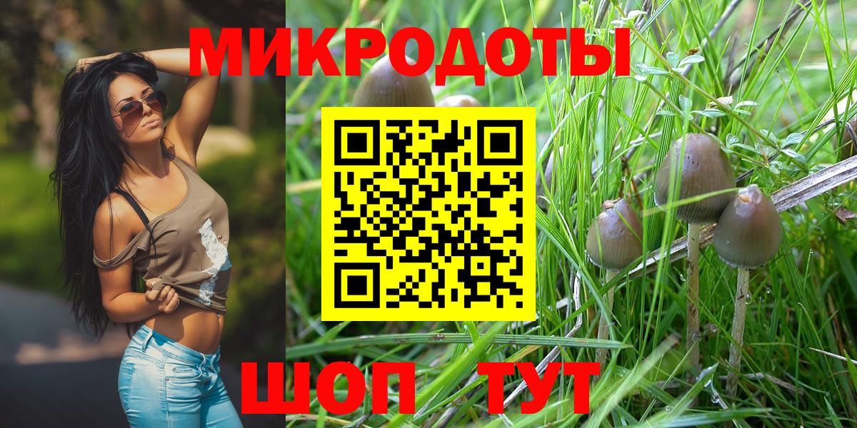 Псилоцибиновые грибы мицелий Ижевск