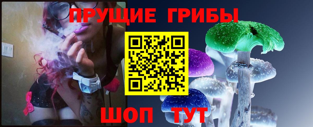 Ижевск  Псилоцибиновые грибы мицелий  Галлюциногенные грибы прущие грибы  Вход с VPN 